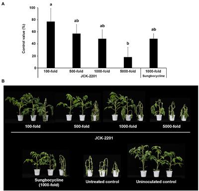 Biological Control Efficacy and Action Mechanism of Klebsiella pneumoniae JCK-2201 Producing Meso-2,3-Butanediol Against Tomato Bacterial Wilt